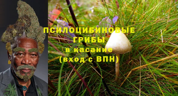 эйфоретик Нефтекумск