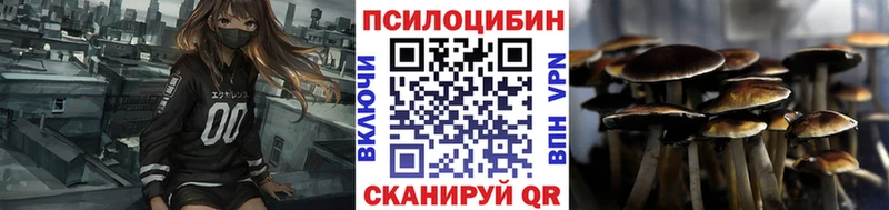 Галлюциногенные грибы Magic Shrooms  где продают   Тайга 