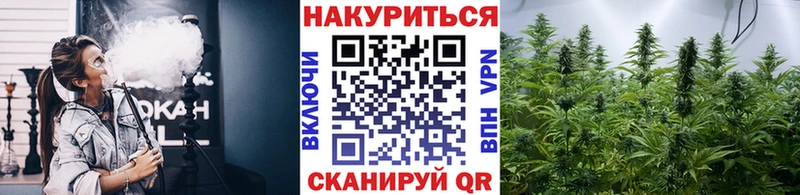 Конопля THC 21% купить наркотики сайты Тайга